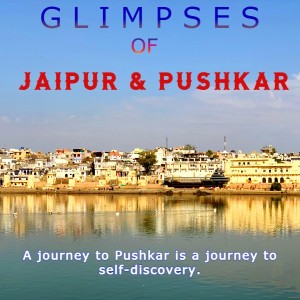 3 Days  Jaipur Pushkar Tour
