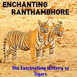 5 Days Jaipur Ranthambore Tour