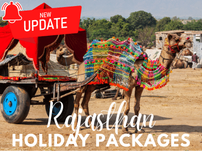 Rajasthan Holiday Packages (79)
