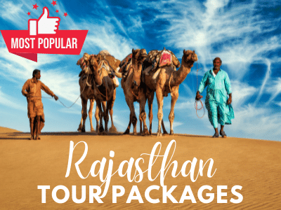 Rajasthan Tours (30)